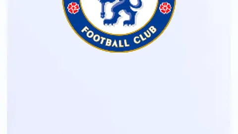 辛纳澳网卫冕再战，半决赛一触即发！